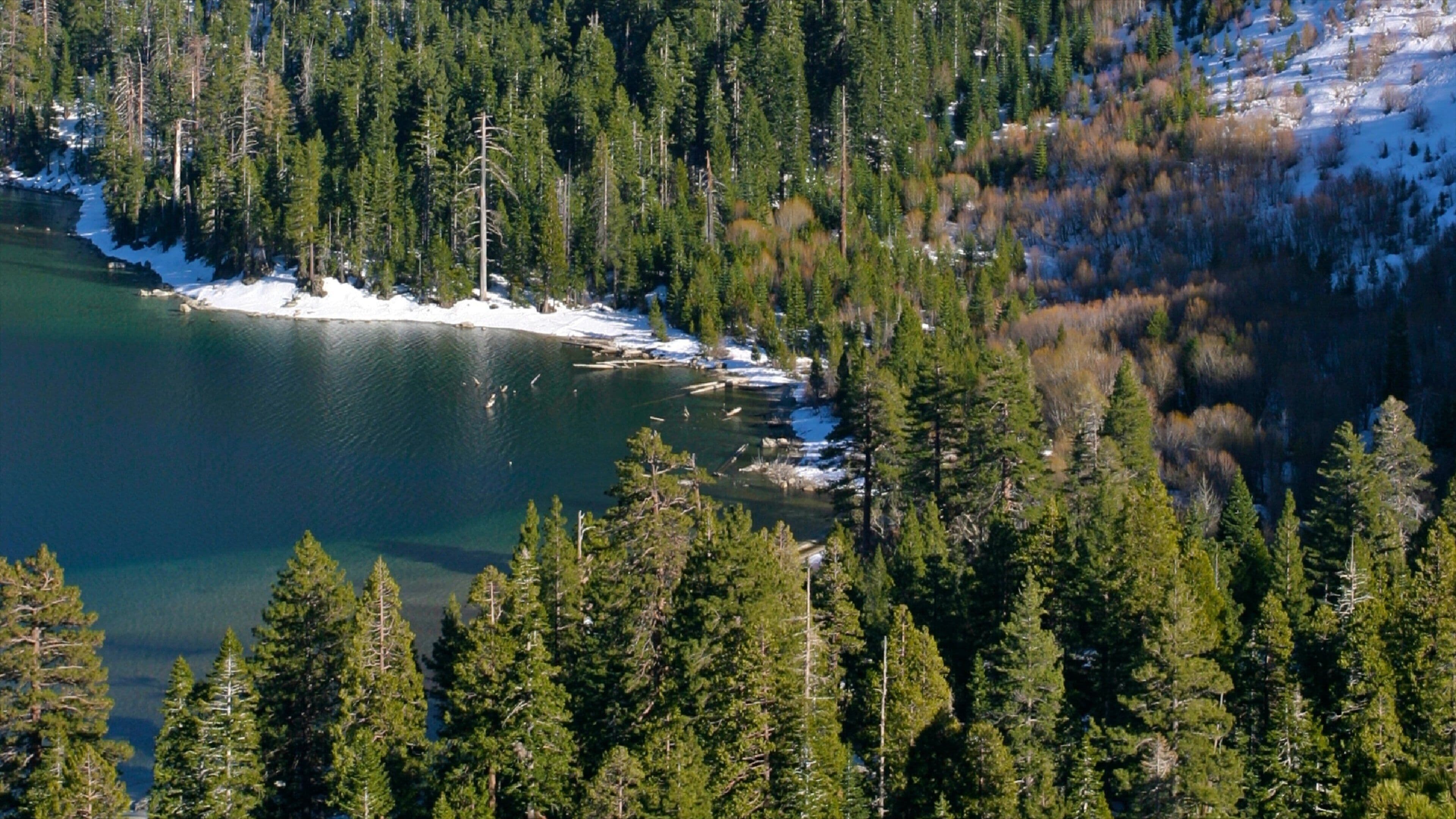 Lago Tahoe mostrando vistas de paisajes, escenas forestales y un lago o abrevadero