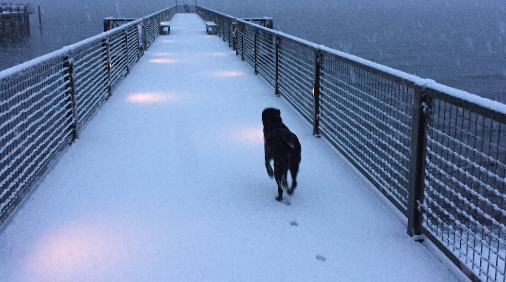 Great place to walk after a fresh snow.