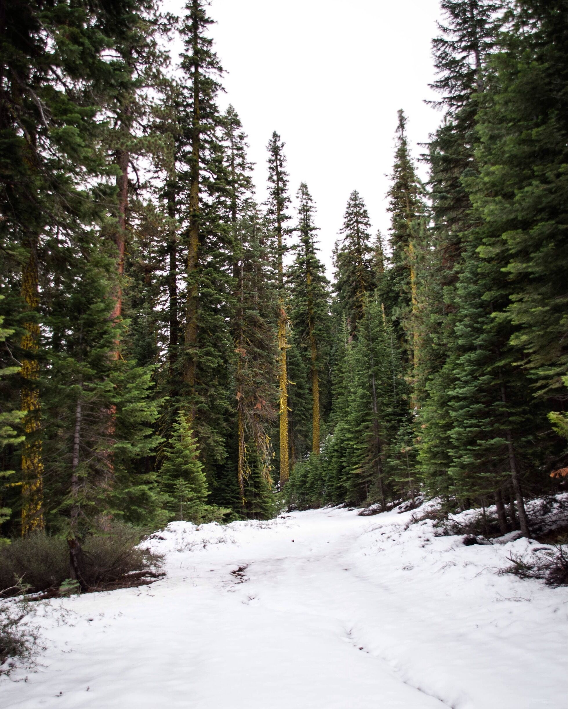 Lost somewhere in Tahoe 