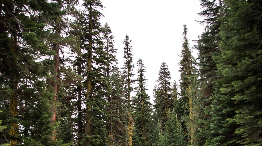 Lost somewhere in Tahoe