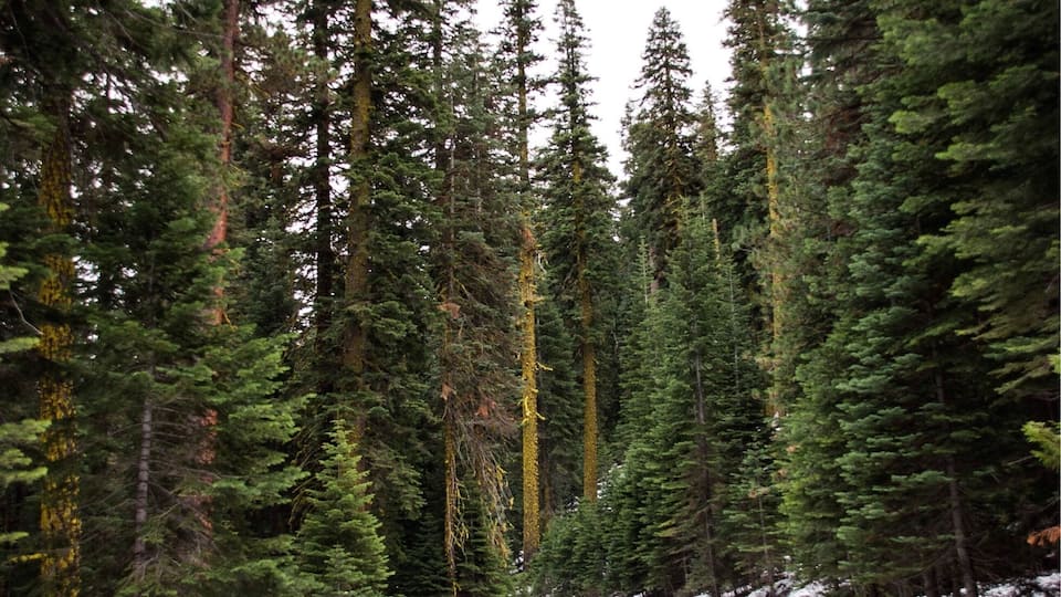 Lost somewhere in Tahoe