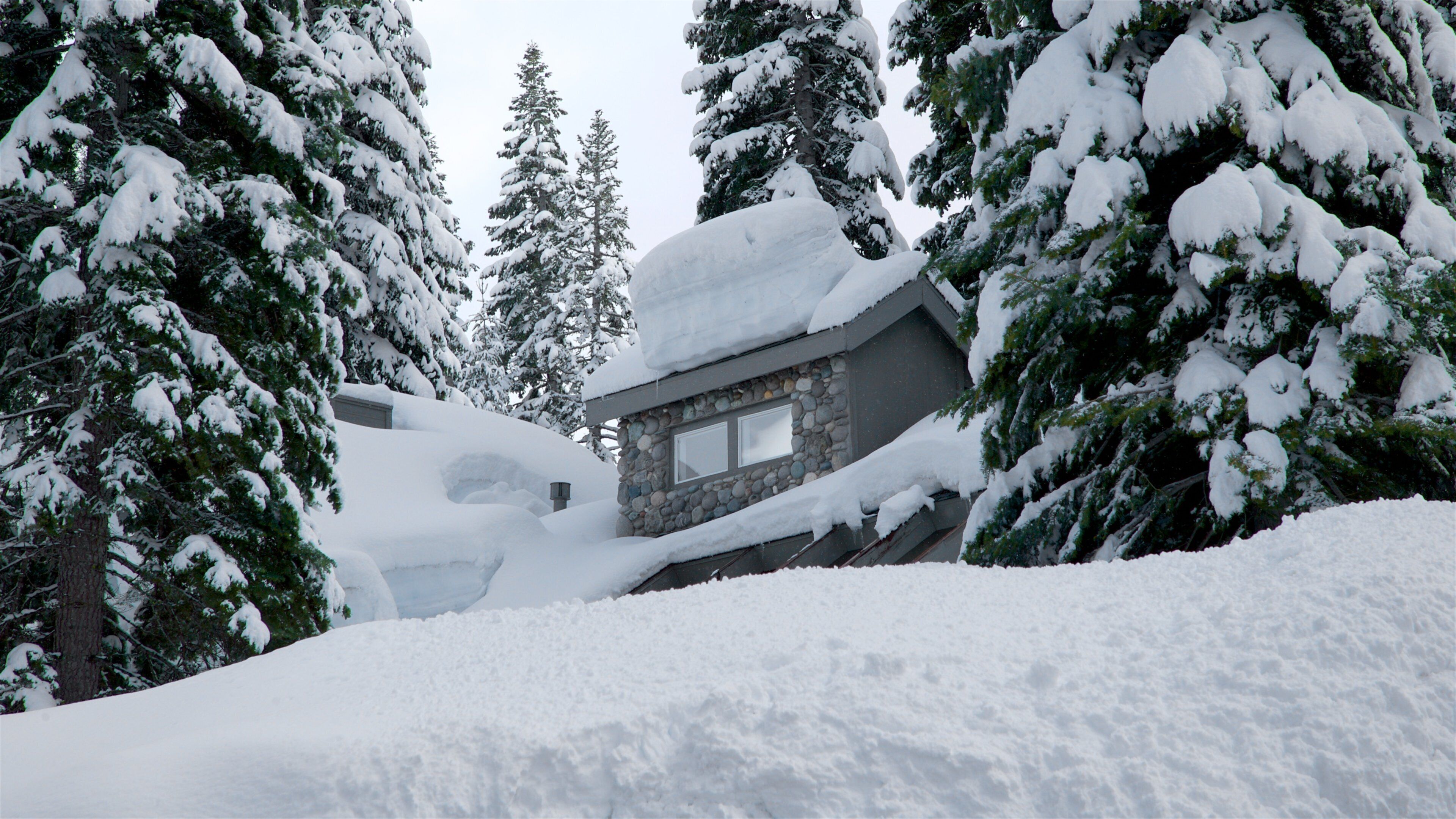 トラッキー 表示 家屋 と 雪
