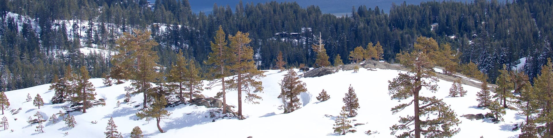 Tahoe National Forest showing snow, tranquil scenes and a lake or waterhole