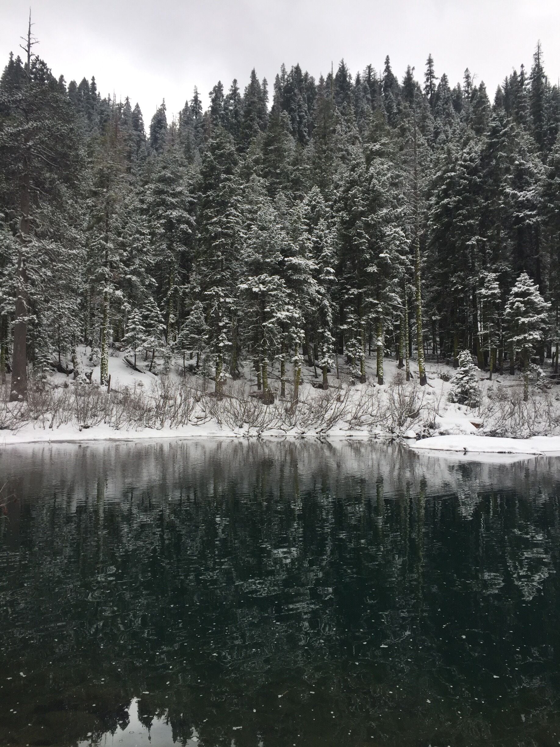 Piste Cyclable de la Rivière Truckee