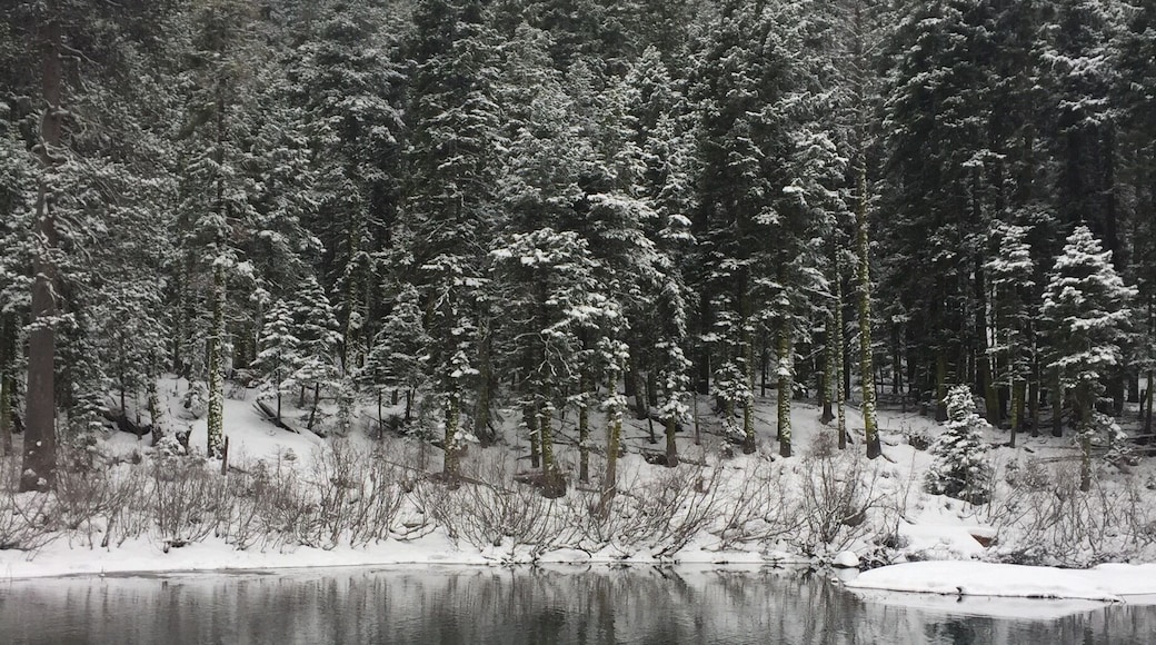 Piste Cyclable de la Rivière Truckee