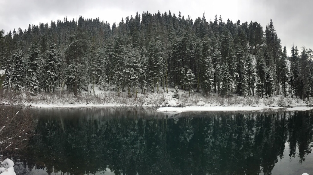 Piste Cyclable de la Rivière Truckee