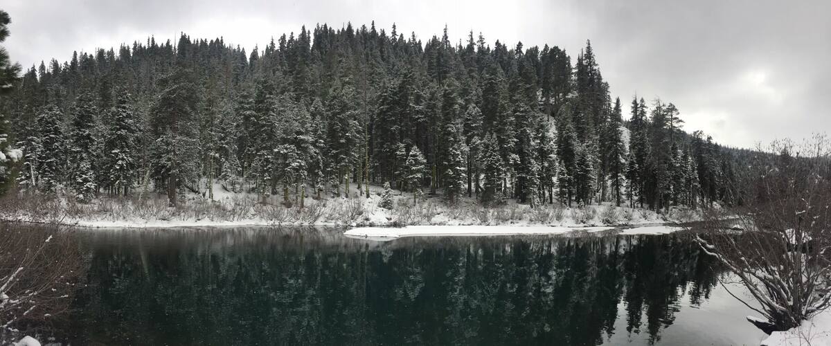 A snow-covered forest and a calm lake.