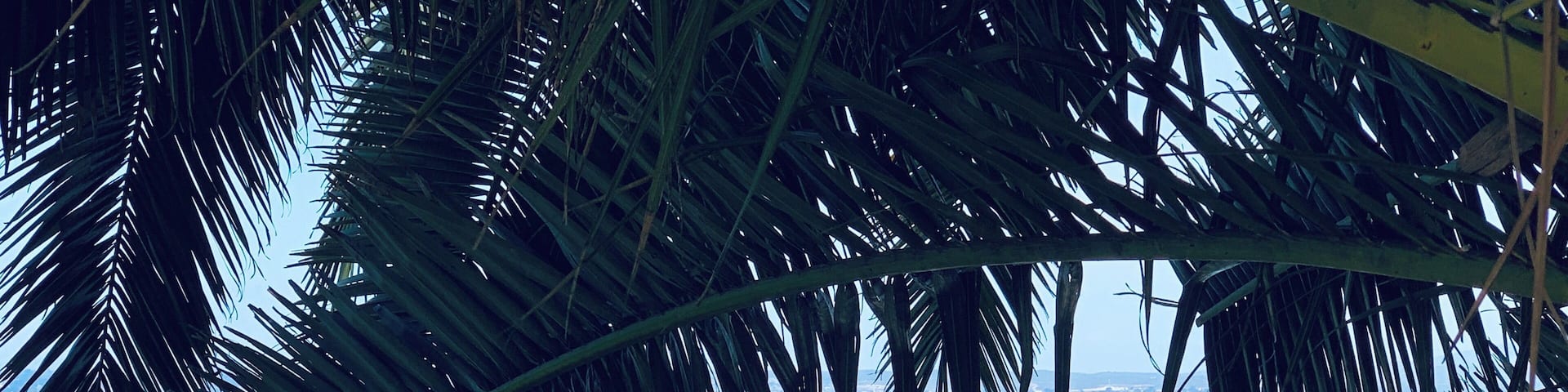 My attempt at an artistic shot! Beautiful day at Monterey.