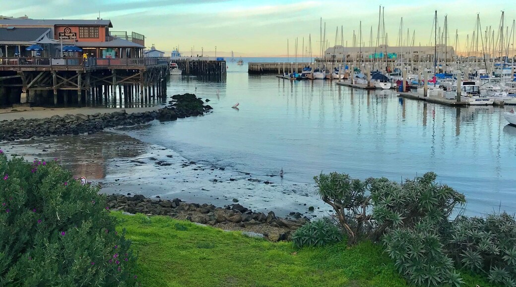 What a wonderful time at the Fisherman’s wharf in Monterey. And the clam chowder is the best.