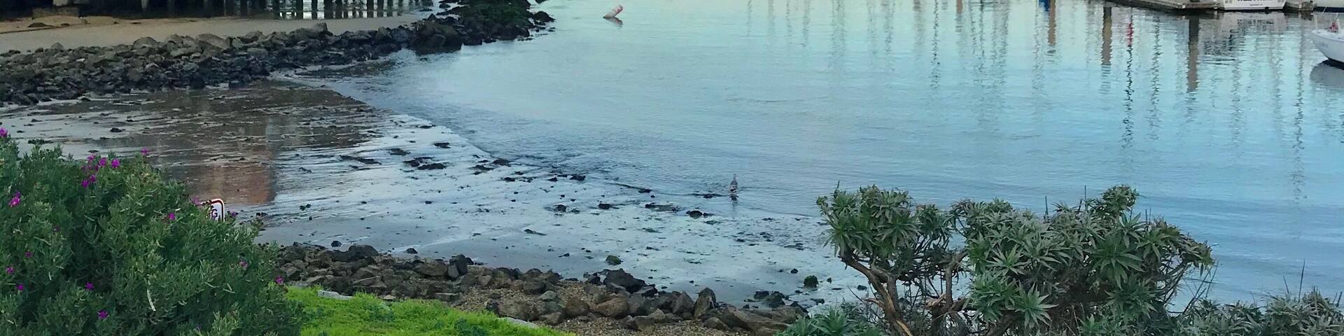 What a wonderful time at the Fisherman’s wharf in Monterey. And the clam chowder is the best.