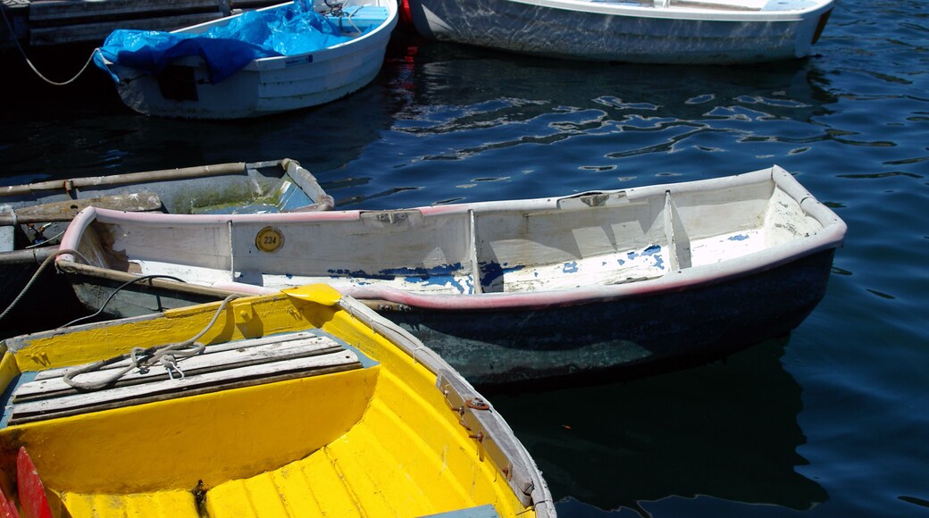At the end of the wharf I found all these colorful dinghys.