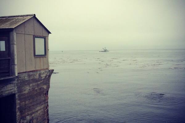View from behind Ed Ricketts old laboratory