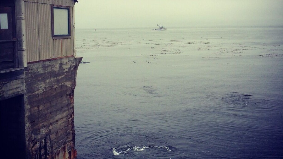 View from behind Ed Ricketts old laboratory