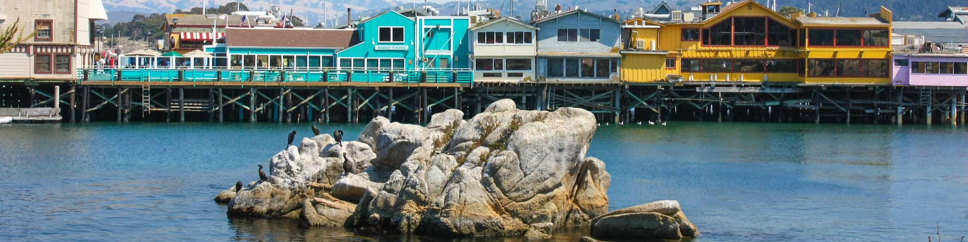 A waterfront with colorful buildings, a pier, and a rocky outcrop with birds.