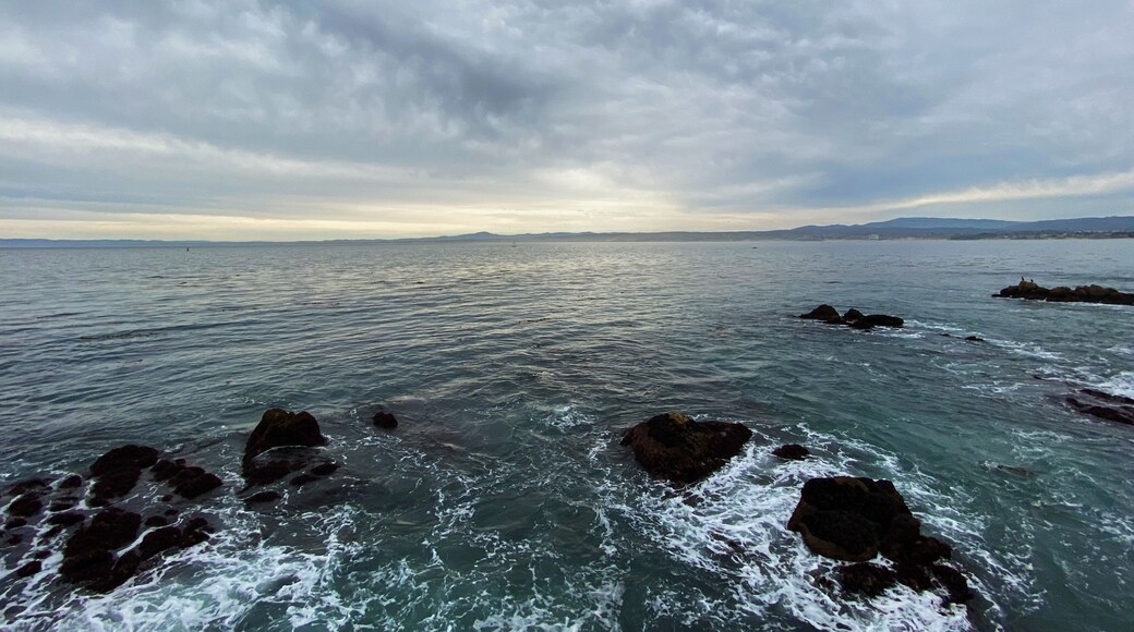 View from the Aquarium in Monterey. Even on an overcast day it’s pretty incredible.