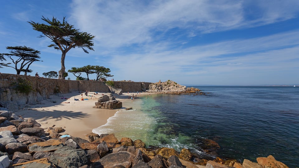 A rocky beach with clear water, a sandy shore, and a few trees.