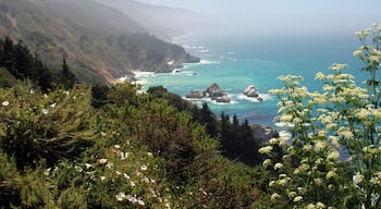 Following highway 1 south out of Monterey you get views like this