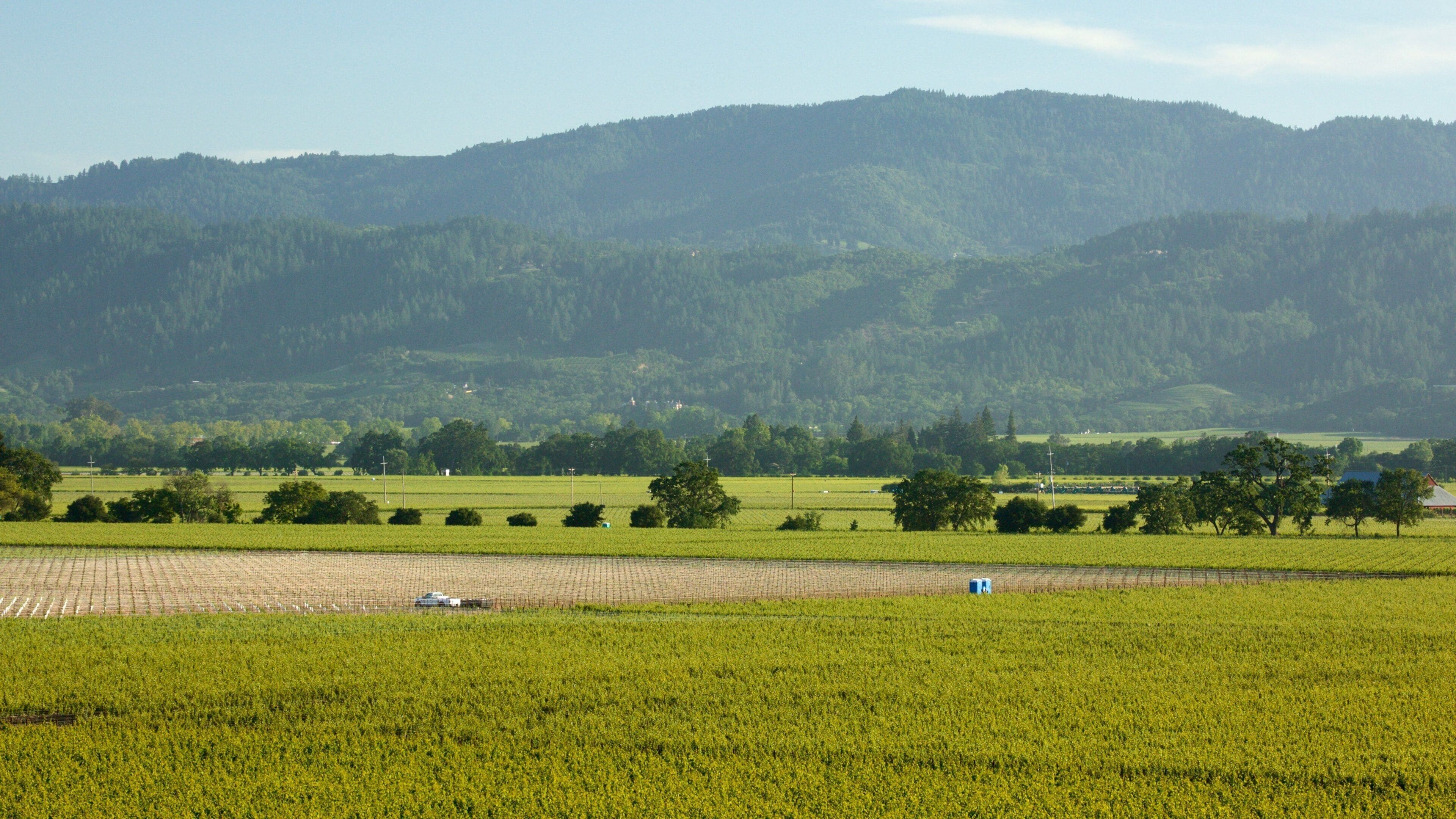 A rural landscape with fields, trees, and distant hills.