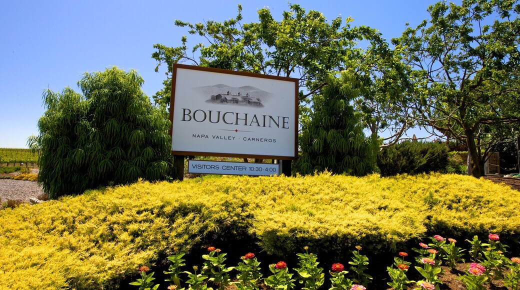Napa Valley which includes signage and landscape views