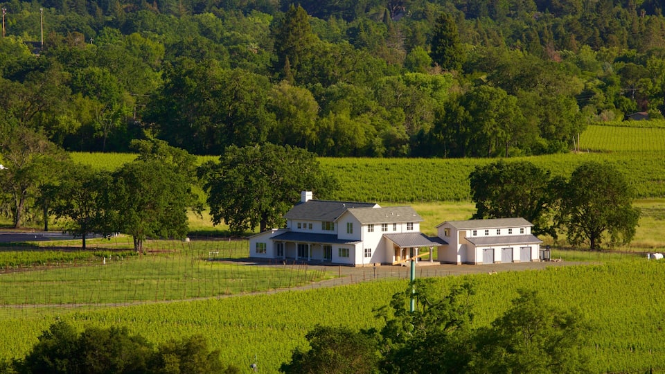 A large white house with a garage and a barn in a lush green field surrounded by trees.