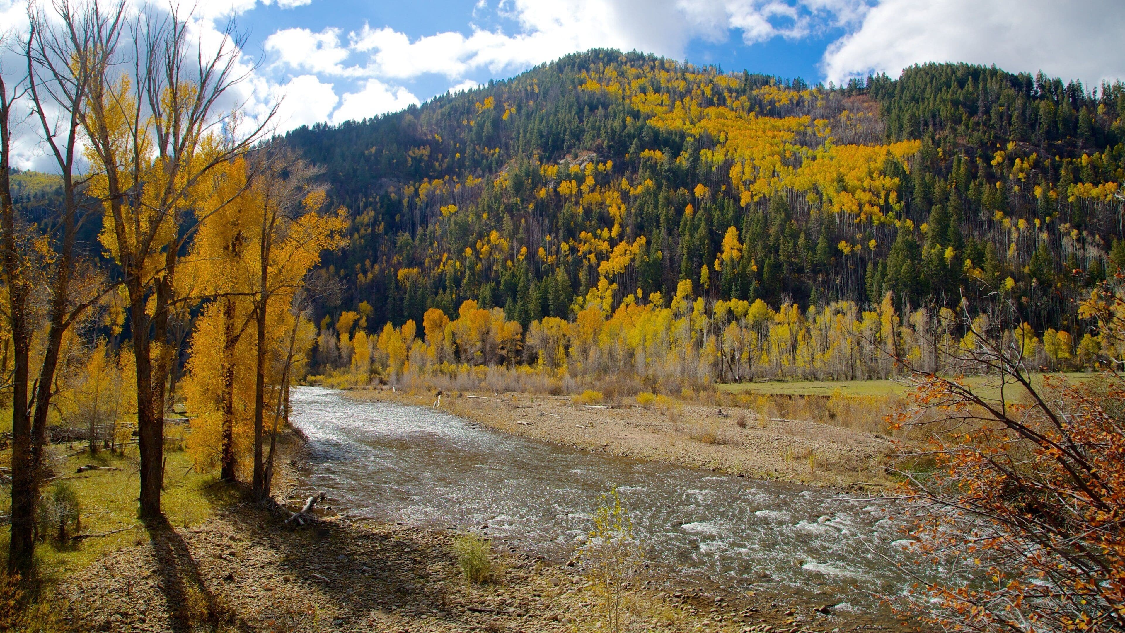 Durango - Purgatory mostrando montañas, un río o arroyo y colores de otoño