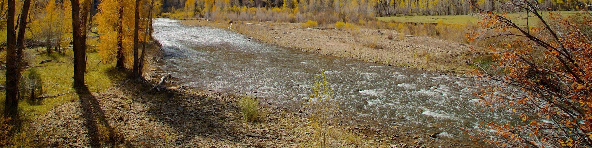 Durango - Purgatory featuring forest scenes, a river or creek and autumn leaves