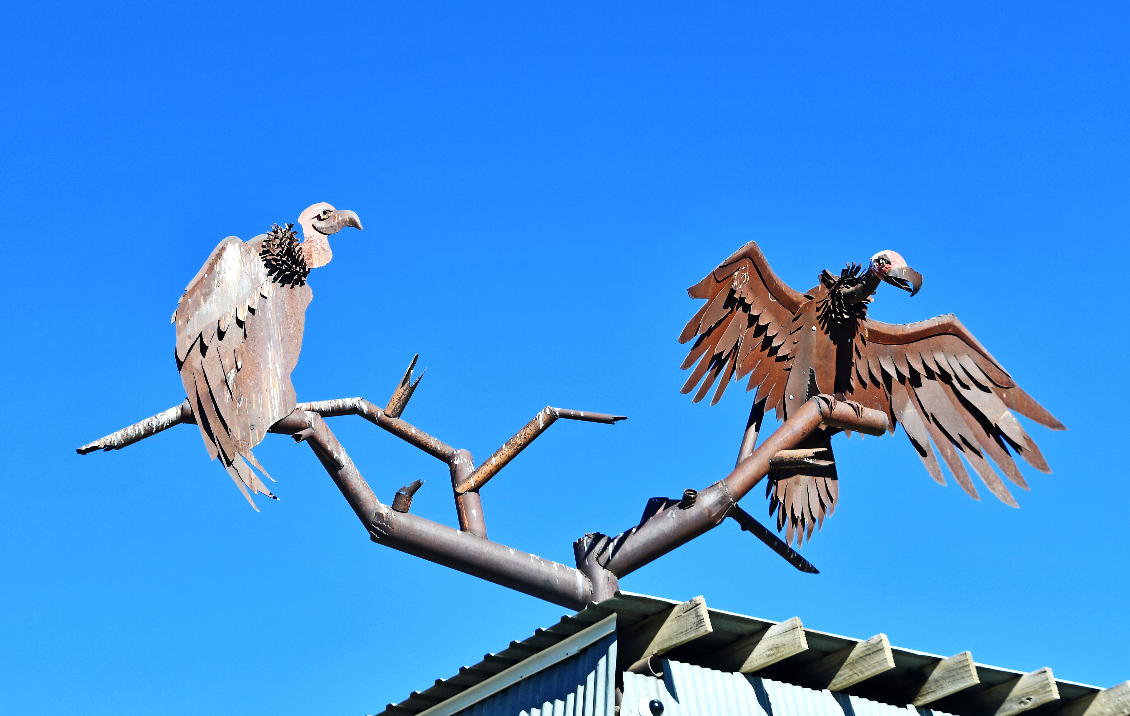 Having left Mesa Verde and heading toward Durango we came across a junkyard with these vulture sculptures on the roof.