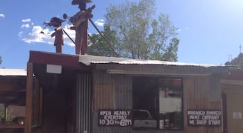 Serious Texas Bar-B-Que is the name of this place, and they mean it. Delicious sandwiches, ribs, or simply juicy meat by the pound at good prices, as well as access to hot or mild sauces for drowning it all. Family-friendly but they also carry a small selection of bottled beers.