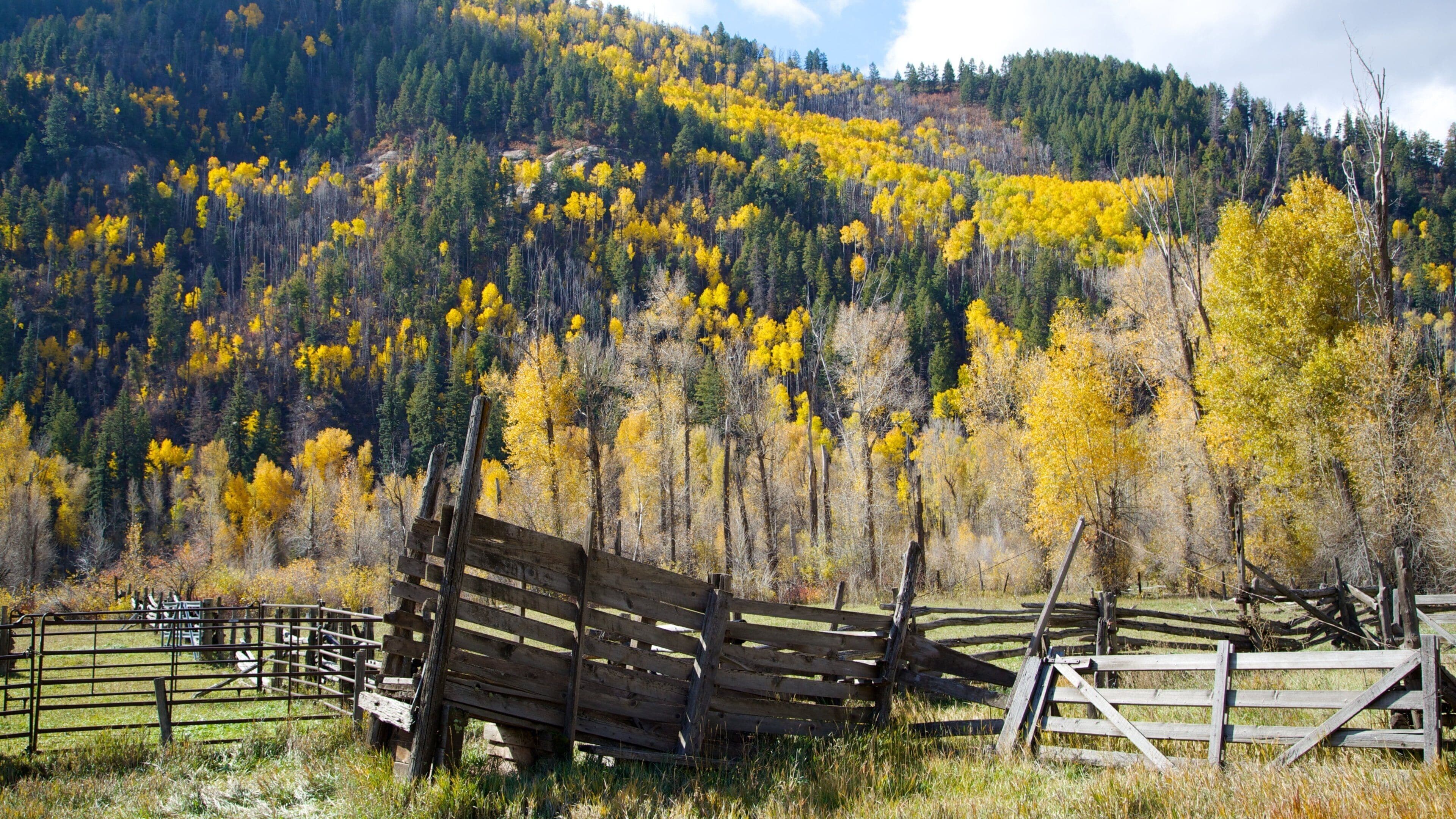 Durango - Purgatory which includes tranquil scenes, forests and autumn leaves