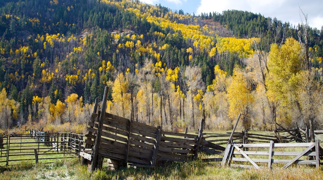 Durango - Purgatory which includes tranquil scenes, forests and autumn leaves