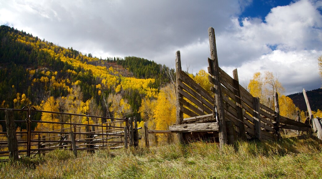 Durango - Purgatory mostrando montañas, escenas tranquilas y colores de otoño