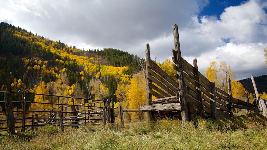Durango - Purgatory which includes mountains, tranquil scenes and autumn leaves