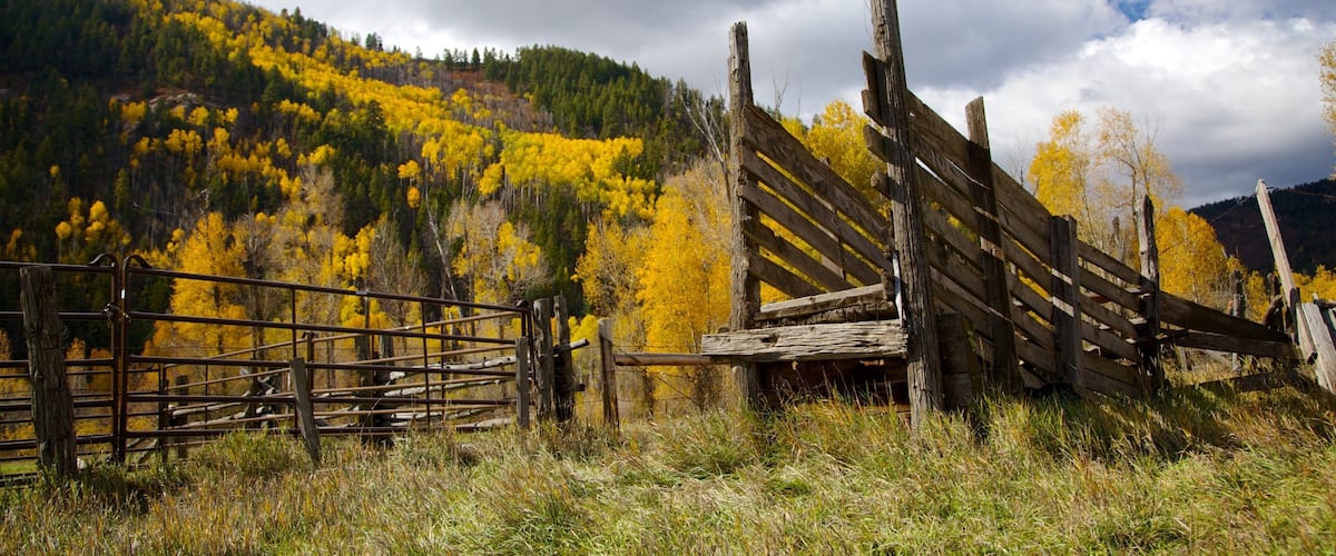 Durango - Purgatory showing tranquil scenes, autumn colours and mountains