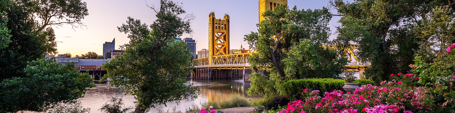 A bridge, water, and pink flowers.