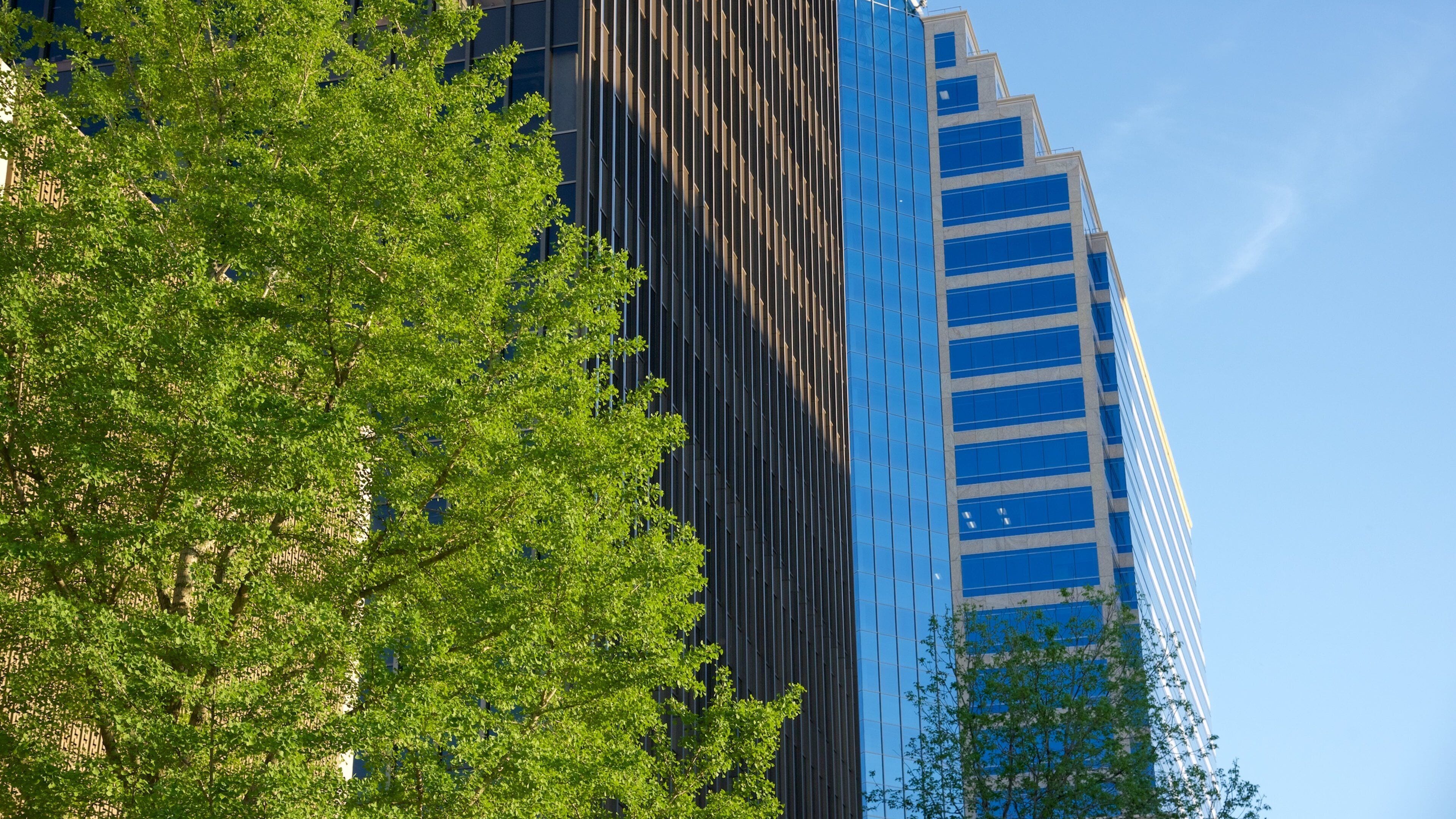 Sacramento featuring central business district