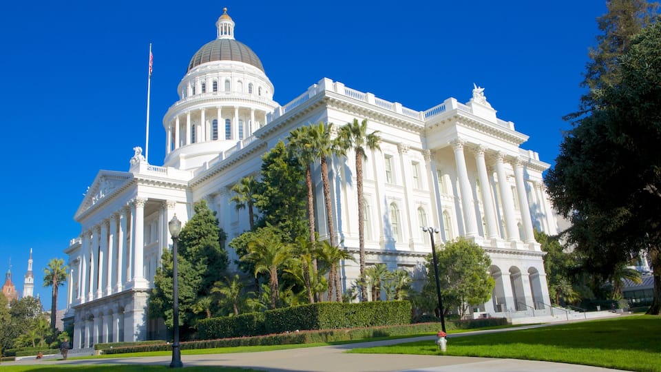 A large white neoclassical building with a dome and columns, surrounded by palm trees and a clear blue sky.