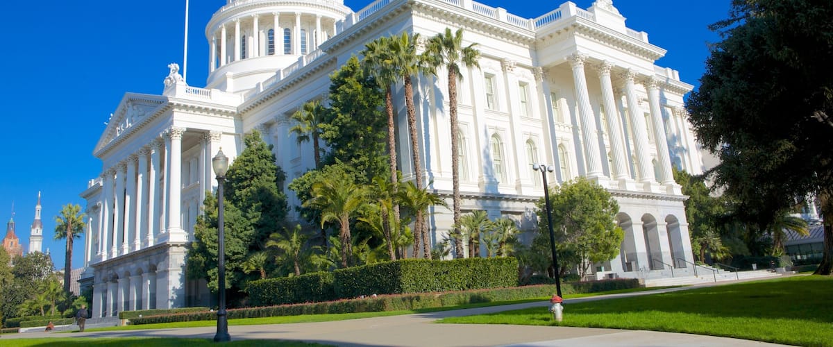 A large white neoclassical building with a dome and columns, surrounded by palm trees and a clear blue sky.