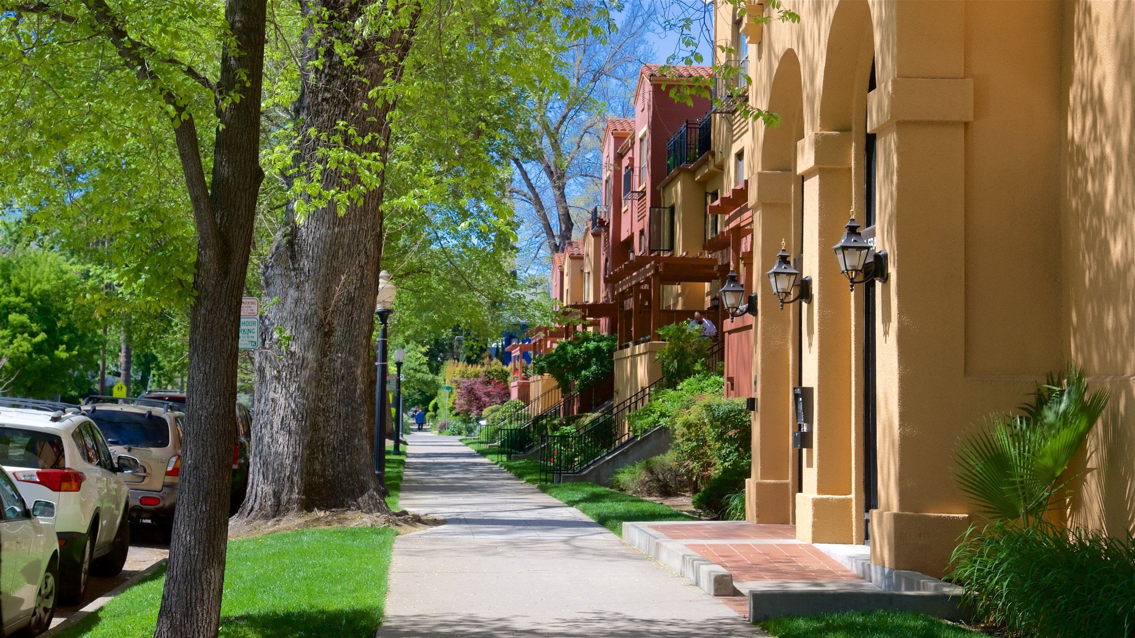 Sacramento som inkluderer gatescener