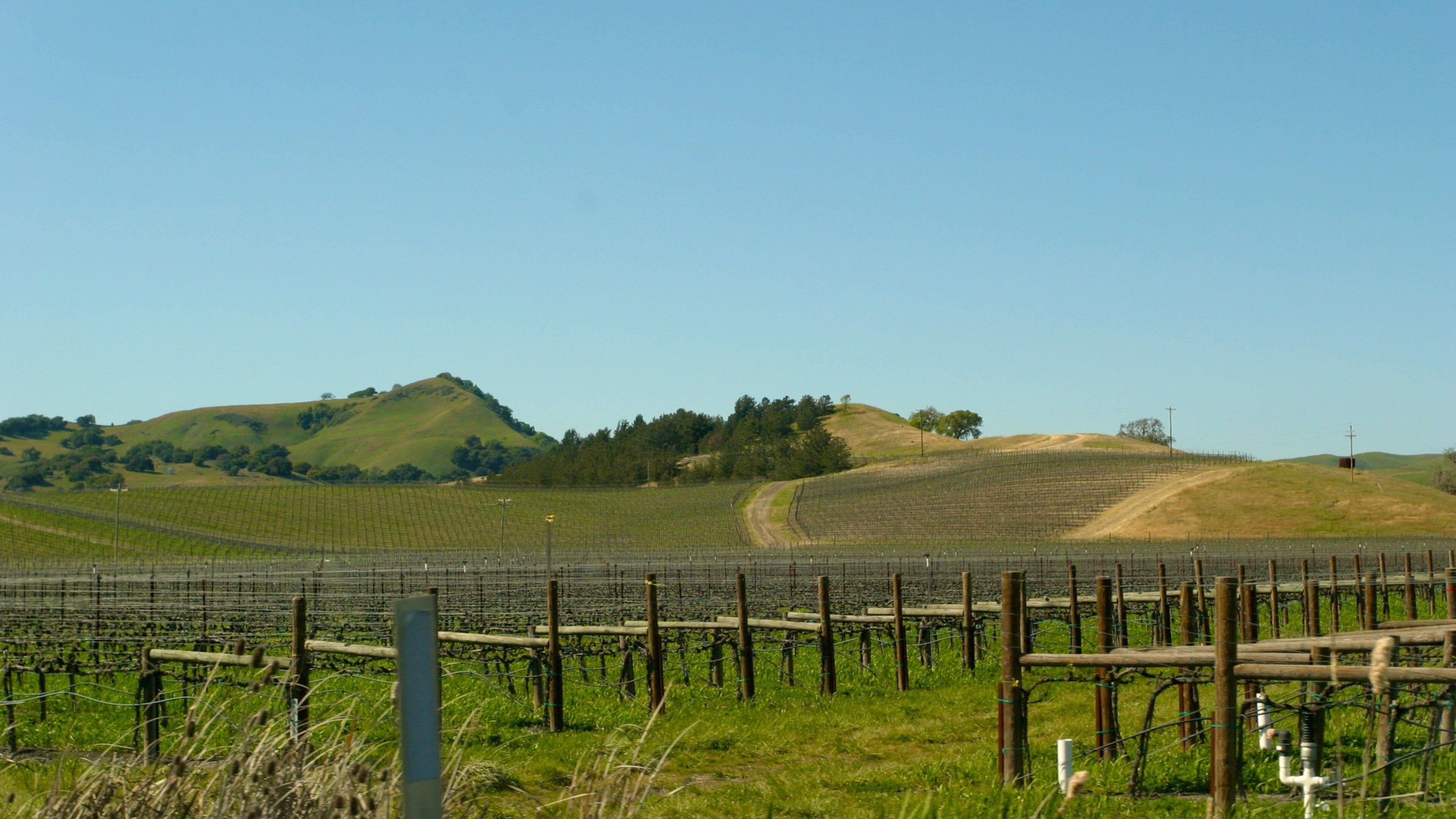 Sonoma Valley showing tranquil scenes