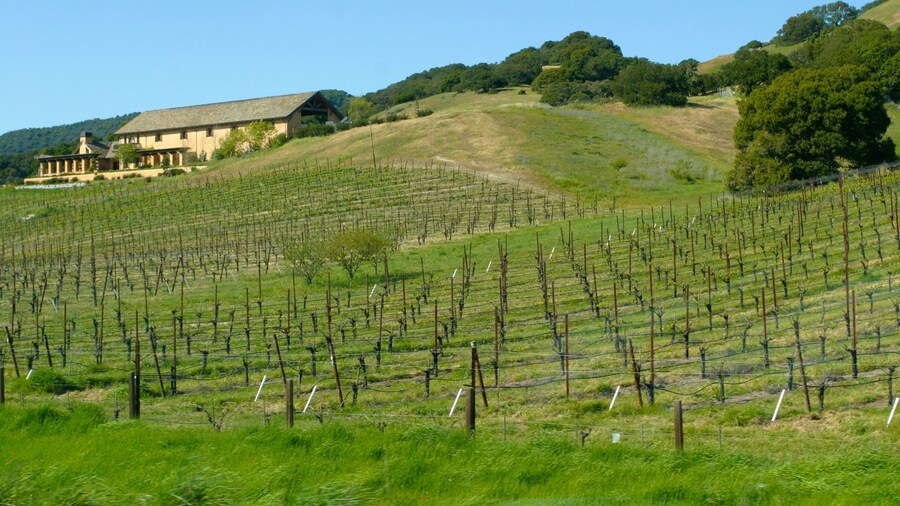 โซโนมาแวลลีย์