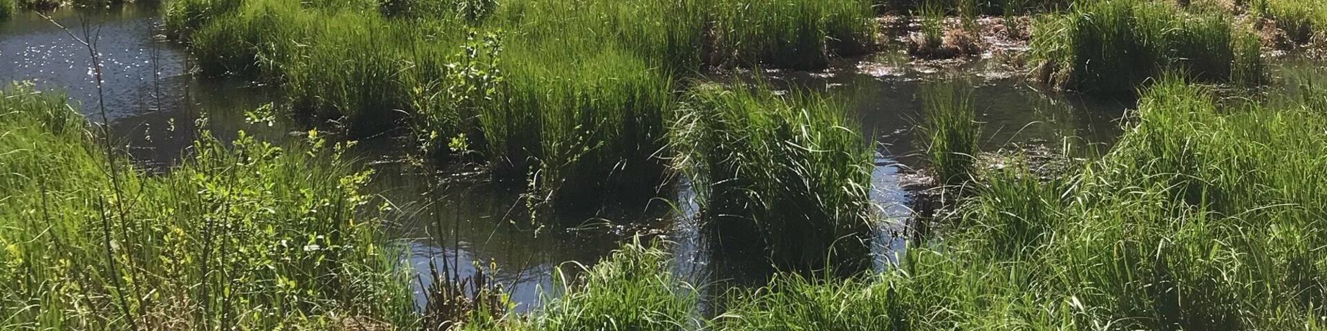 Lovely view in Telluride,a lovely town in Colorado. Well worth the drive to get to it.