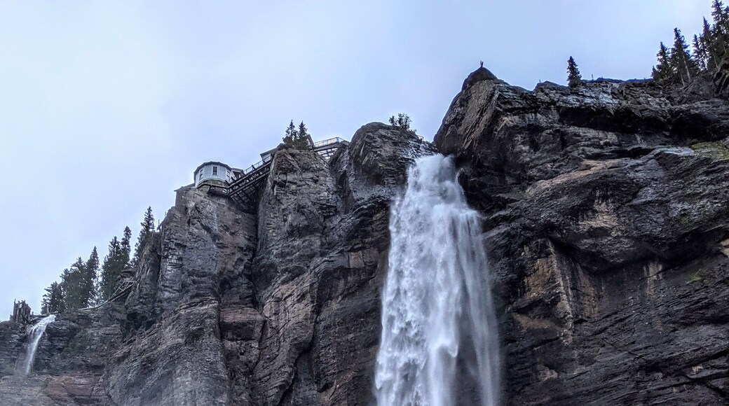 Bridal Veil Falls in Telluride, Colorado. Whether you hike or drive, beauty is all around you
âą
#BridalVeilFalls #Telluride #Colorado #Waterfalls #SanJuanMountains #Nature #Photography #Hiking #Adventure