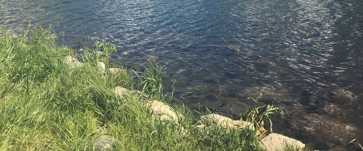 Beautiful for paddle boarding.