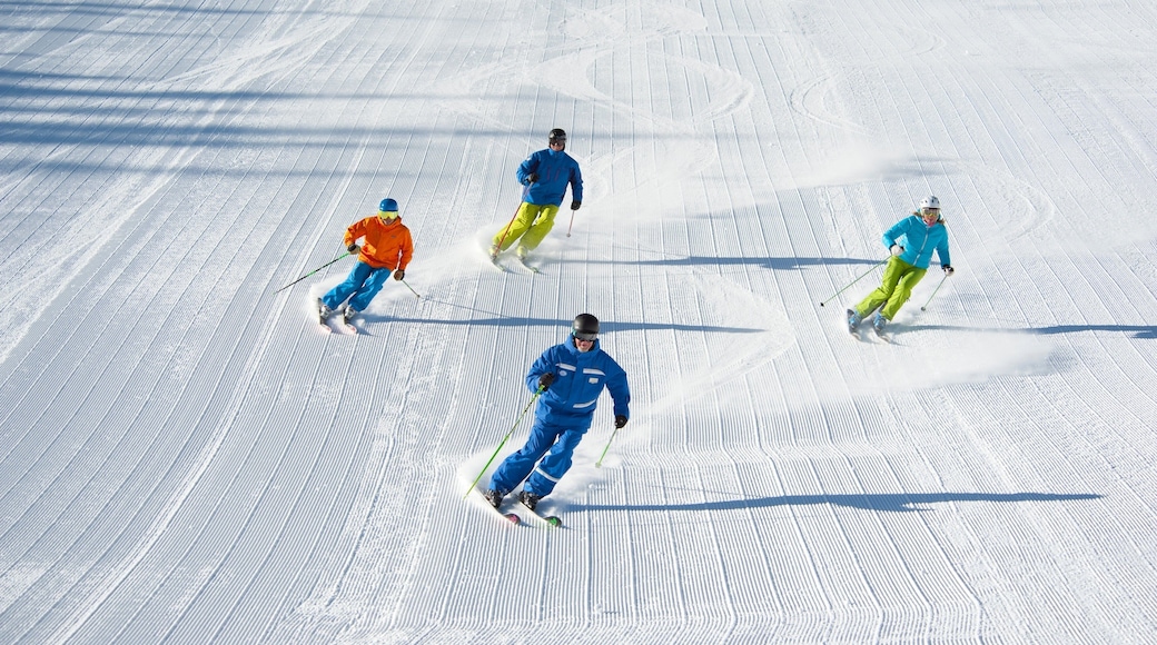 Vail - Beaver Creek featuring snow and snow skiing as well as a small group of people