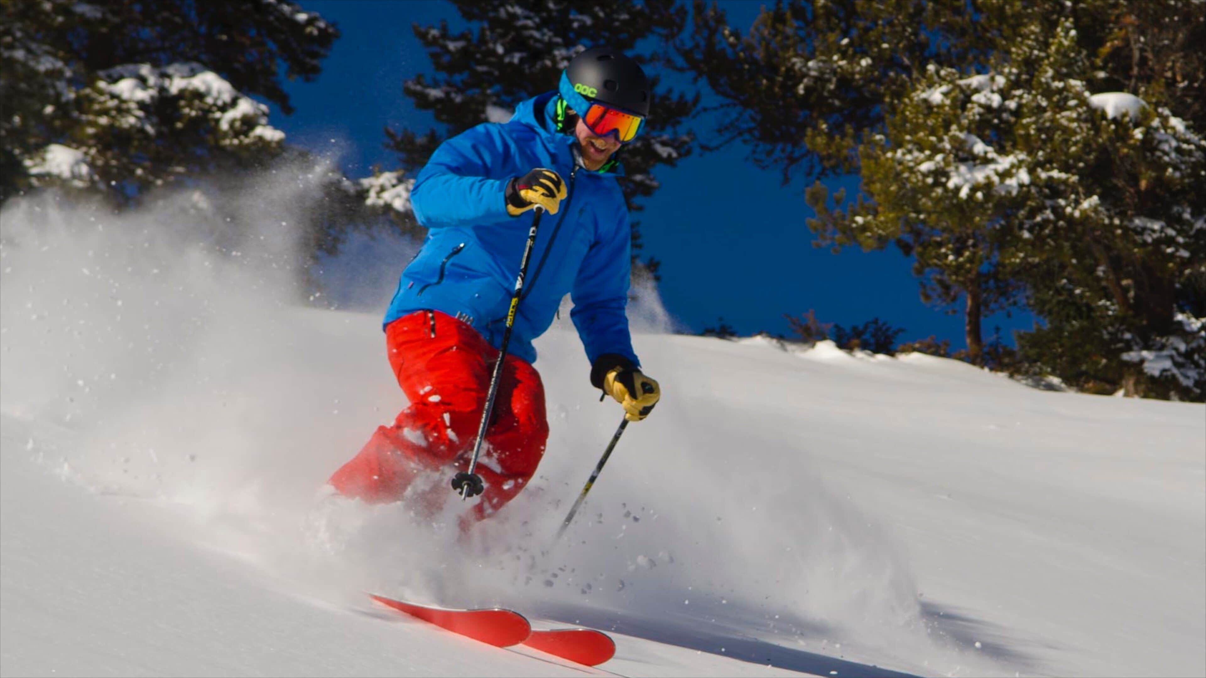 A skier in a blue jacket and red pants skiing down a snowy slope.