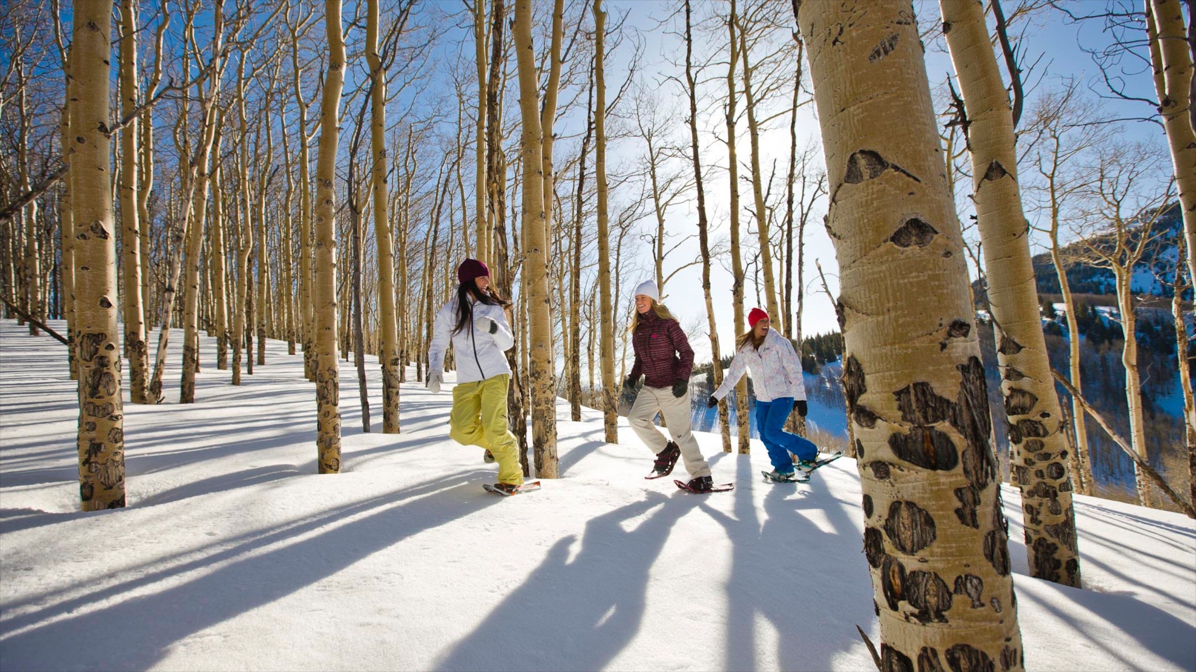 Vail - Beaver Creek which includes snow and snow shoeing as well as a small group of people