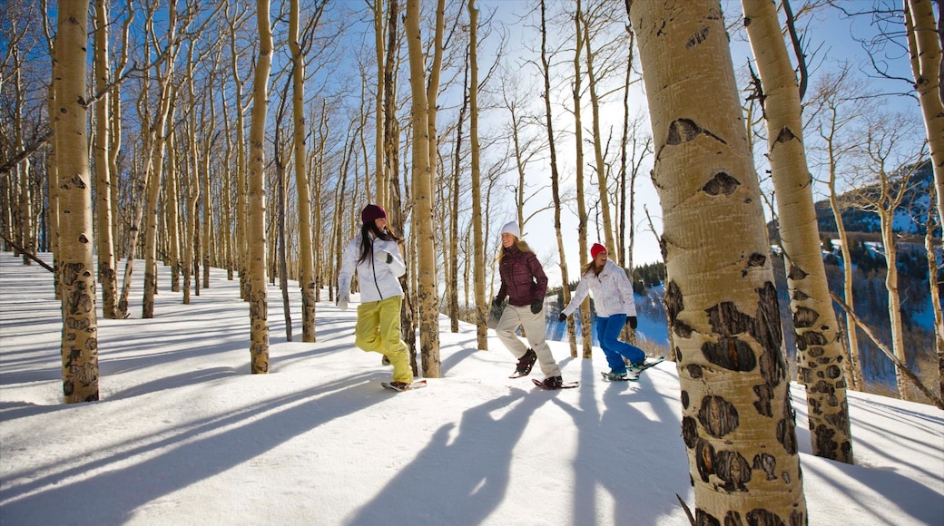 Vail - Beaver Creek which includes snow and snow shoeing as well as a small group of people