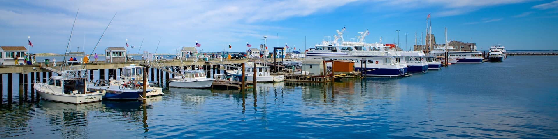 Cape Cod showing general coastal views, a bay or harbour and boating