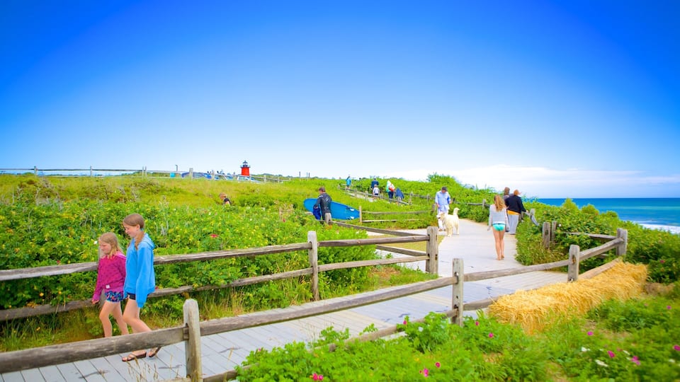 A coastal walkway with a lighthouse, grassy areas, and a wooden boardwalk.