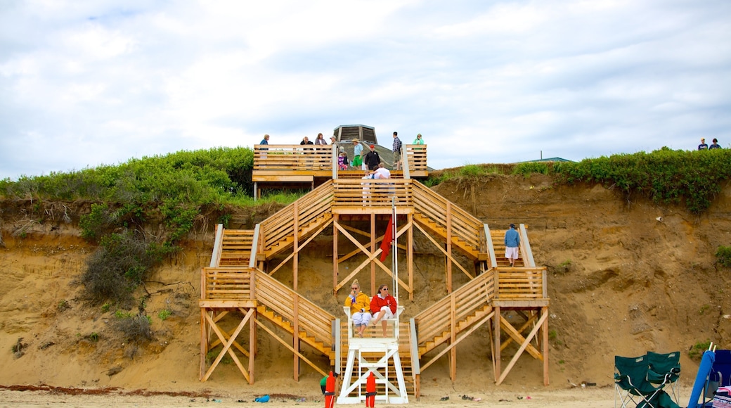 Cape Cod which includes views and general coastal views as well as a large group of people